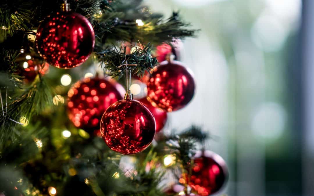 How important is Christmas Tree Safety?