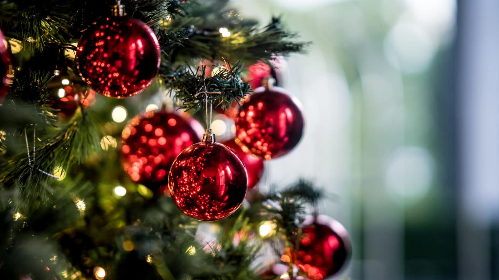 How important is Christmas Tree Safety? | Disparti Law Group